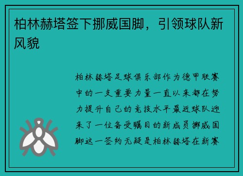 柏林赫塔签下挪威国脚，引领球队新风貌